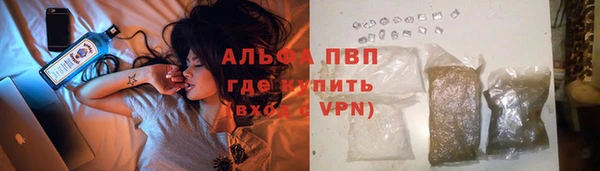 твердый Арсеньев