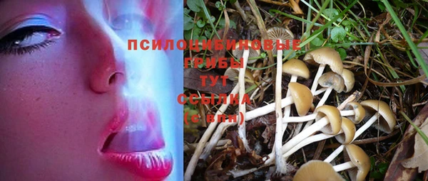 прущий лед Балахна